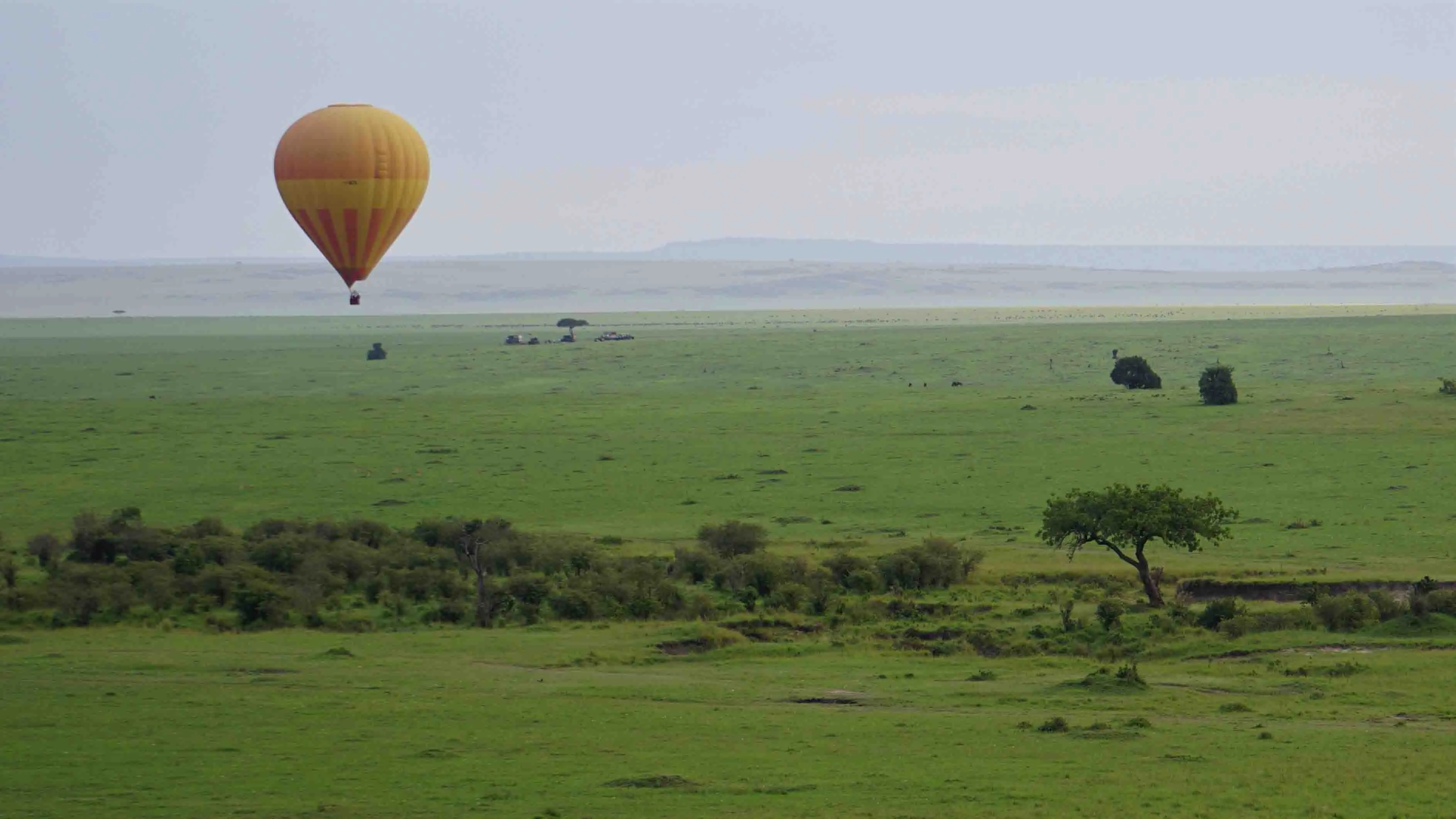 Balloon Safaris